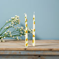 Sunflower candle